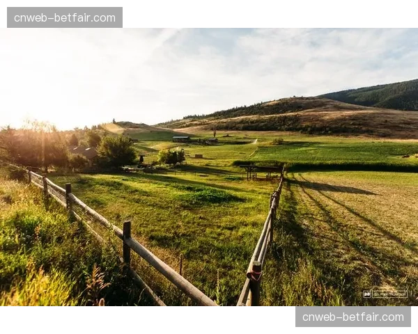 林道建设引争议：加拿大环保组织起诉国家公园破坏生态